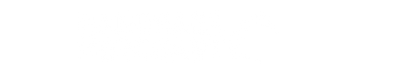 Handbags Merchant